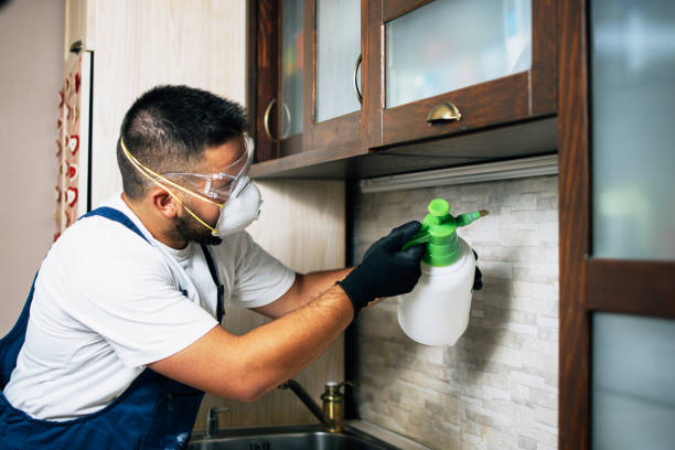 Best Commercial Pest Control Services  in Ravenna, NE
