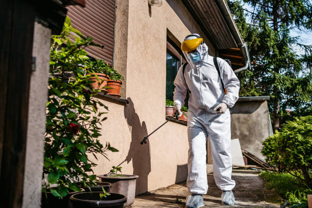 Best Pest Prevention Services  in Ravenna, NE