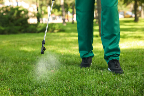Best Pest Removal Services  in Ravenna, NE