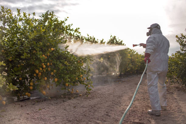 Best Best Pest Control Companies  in Ravenna, NE