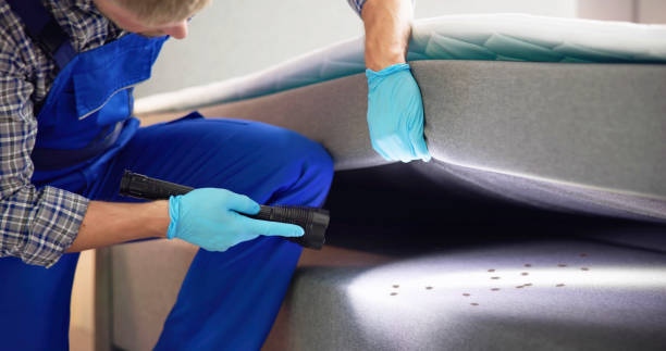 Best Termite Control Services  in Ravenna, NE