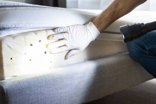 Best Pest Control Treatment  in Ravenna, NE