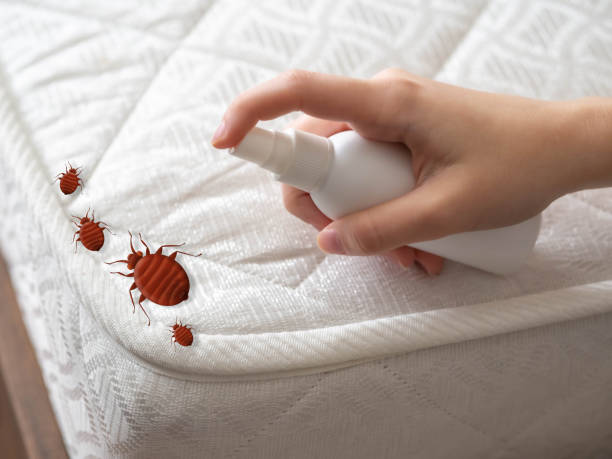 Best Affordable Pest Control Services  in Ravenna, NE