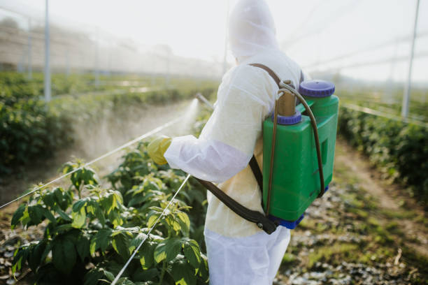 Best Flea Control Services  in Ravenna, NE